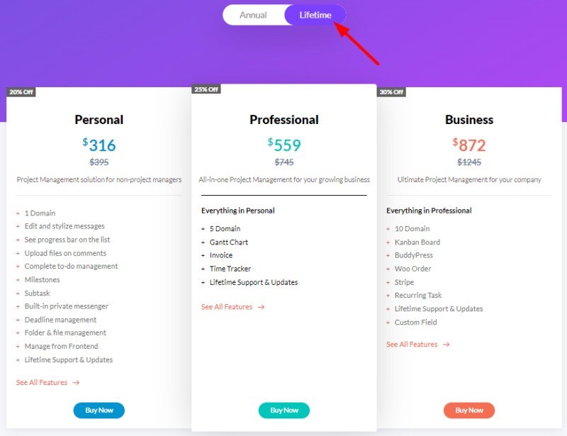 Wp project manager lifetime pricing plans